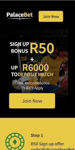 PalaceBet App Interface